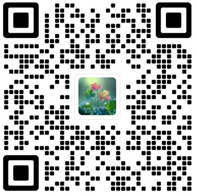 Journal of WTO and China杂志模板
